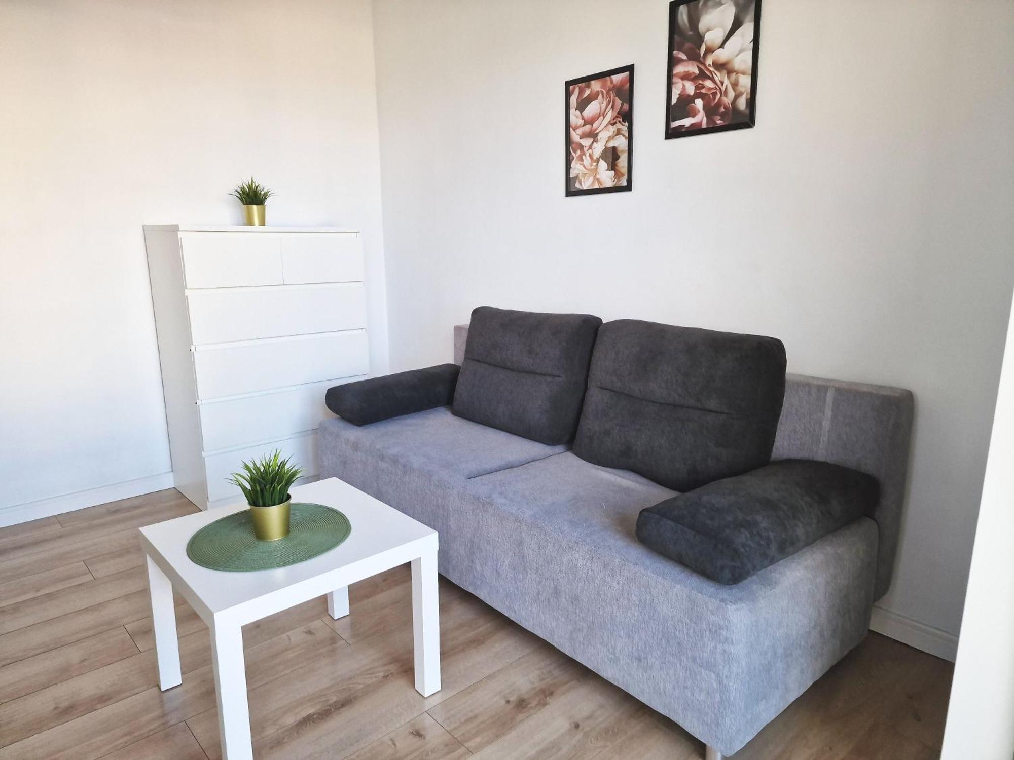Urban Jungle - Silver Apartment Bialystok Bagian luar foto